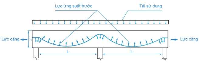 Nguyên lý hoạt động của bê tông cáp dự ứng lực