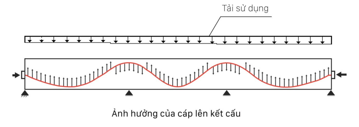 Ảnh hưởng của cáp lên kết cấu