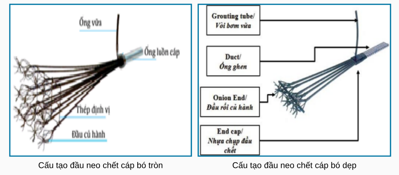 Cấu tạo hệ đầu neo chết